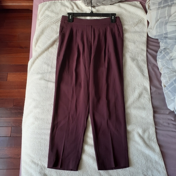 Aritzia Babaton Conan Pant (with pleats) - Picture 1 of 4